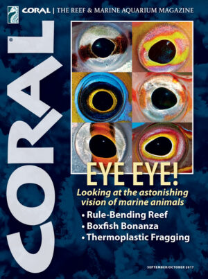 CORAL Sep/Oct 2017: Eye Eye!