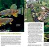 AMAZONAS Mar/Apr 2024: DOUBLE DELIGHT: Tank To Terrace - Image 2