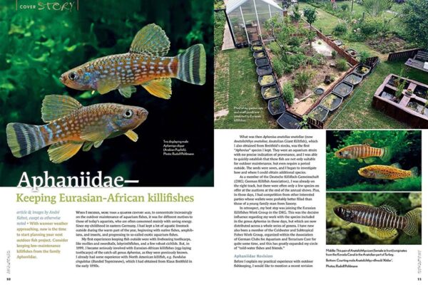 AMAZONAS Mar/Apr 2024: DOUBLE DELIGHT: Tank To Terrace - Image 2