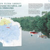 AMAZONAS May/Jun 2024: Neon Tetras - Image 3