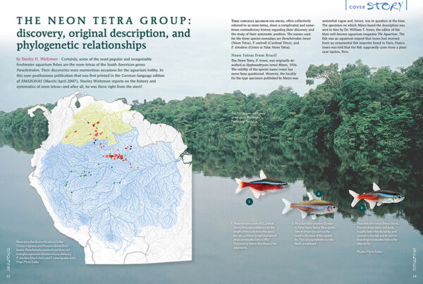 AMAZONAS May/Jun 2024: Neon Tetras - Image 3