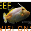 CORAL Mar/Apr 2024: FILTRATION FOR SUCCESS - Image 2