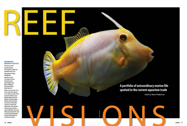 CORAL Mar/Apr 2024: FILTRATION FOR SUCCESS - Image 2