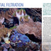 CORAL Mar/Apr 2024: FILTRATION FOR SUCCESS - Image 3