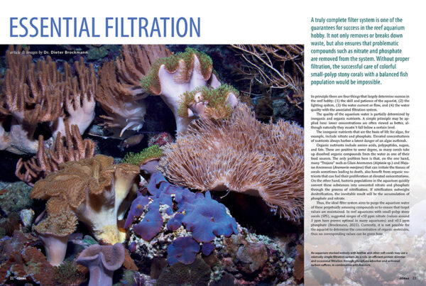 CORAL Mar/Apr 2024: FILTRATION FOR SUCCESS - Image 3