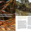 AMAZONAS May/Jun 2024: Neon Tetras - Image 5