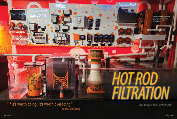 CORAL Mar/Apr 2024: FILTRATION FOR SUCCESS - Image 5