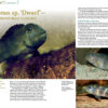 AMAZONAS May/Jun 2024: Neon Tetras - Image 6