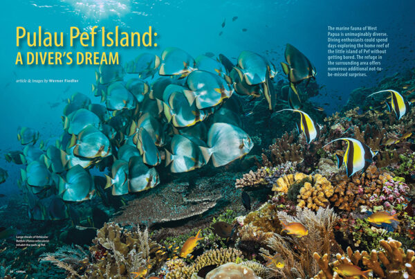 CORAL Mar/Apr 2024: FILTRATION FOR SUCCESS - Image 6