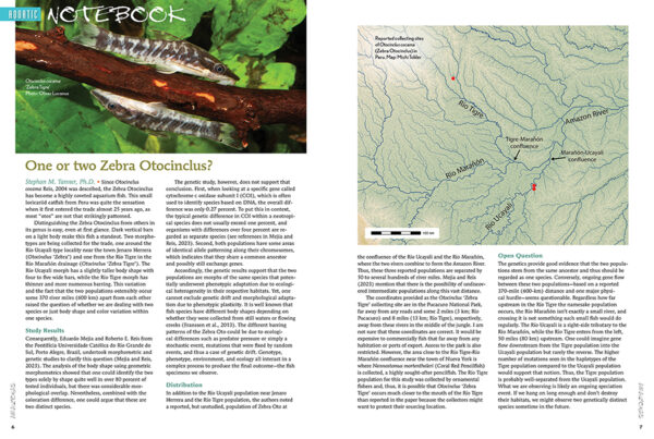 AMAZONAS May/Jun 2024: Neon Tetras - Image 2