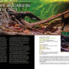 AMAZONAS May/Jun 2024: Neon Tetras - Image 7