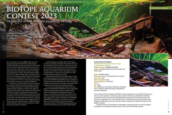 AMAZONAS May/Jun 2024: Neon Tetras - Image 7