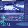 CORAL Mar/Apr 2024: FILTRATION FOR SUCCESS - Image 7