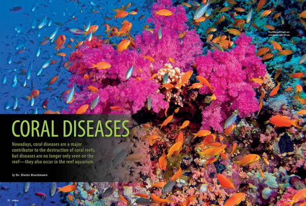 CORAL May/Jun 2024: CORAL DISEASES - Image 3