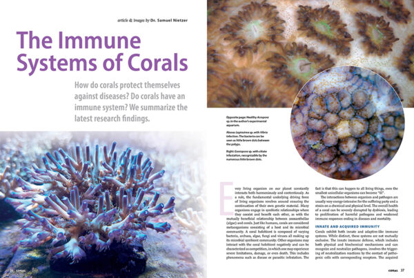 CORAL May/Jun 2024: CORAL DISEASES - Image 4