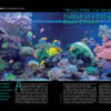 CORAL May/Jun 2024: CORAL DISEASES - Image 6