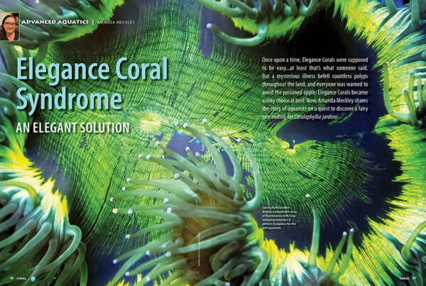 CORAL May/Jun 2024: CORAL DISEASES - Image 7