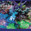 CORAL July/August 2024: EVERLASTING STONY CORALS - Image 5