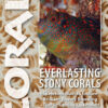 CORAL July/August 2024: EVERLASTING STONY CORALS