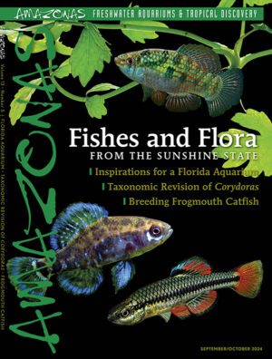 AMAZONAS Sep/Oct 2024: Fishes and Flora from the Sunshine State (Florida)