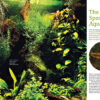 AMAZONAS Sep/Oct 2024: Fishes and Flora from the Sunshine State (Florida) - Image 4