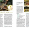 AMAZONAS Sep/Oct 2024: Fishes and Flora from the Sunshine State (Florida) - Image 2