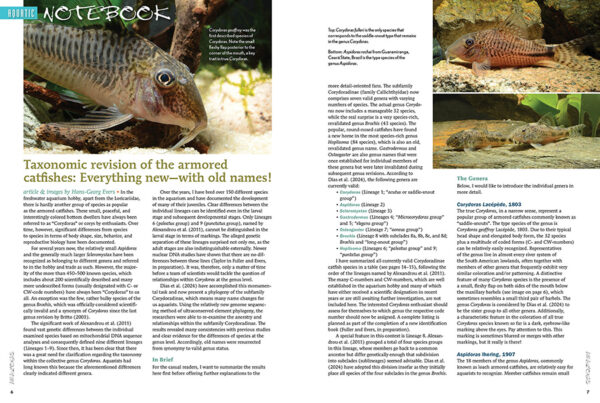 AMAZONAS Sep/Oct 2024: Fishes and Flora from the Sunshine State (Florida) - Image 2