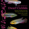 AMAZONAS Nov/Dec 2024: Dwarf Cichlids