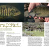 AMAZONAS Jan/Feb 2025: WHIPTAIL CATFISHES - Image 4