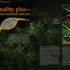 AMAZONAS Jan/Feb 2025: WHIPTAIL CATFISHES - Image 5