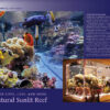 CORAL September/October 2024: THEMED AQUARIUMS - Image 5