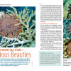 CORAL November/December 2024: SEABEDS - Image 6