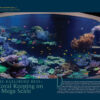 CORAL November/December 2024: SEABEDS - Image 8