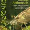 AMAZONAS Mar/Apr 2025: AQUATIC ARTHROPODS