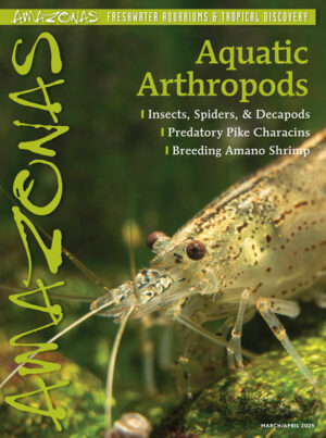 AMAZONAS Mar/Apr 2025: AQUATIC ARTHROPODS