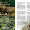 AMAZONAS Mar/Apr 2025: AQUATIC ARTHROPODS - Image 4