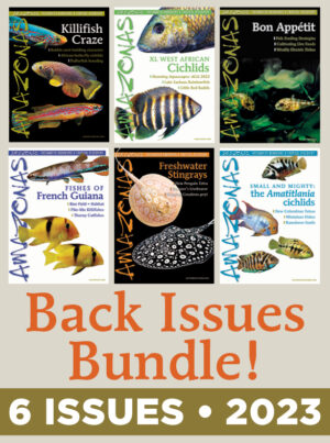 AMAZONAS 2023: Back Issue 6-Pack