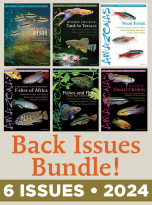 AMAZONAS 2024: Back Issue 6-Pack