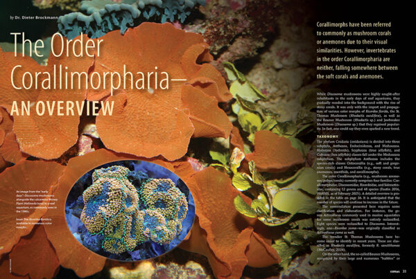 CORAL March/April 2025: MAKE ROOM FOR 'SHROOMS - Image 3