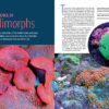 CORAL March/April 2025: MAKE ROOM FOR 'SHROOMS - Image 4