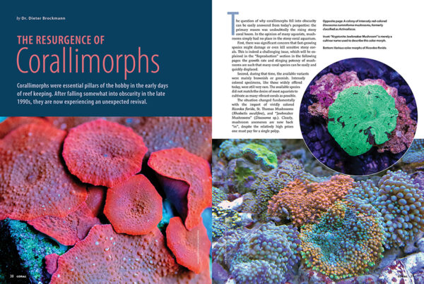 CORAL March/April 2025: MAKE ROOM FOR 'SHROOMS - Image 4