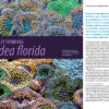 CORAL March/April 2025: MAKE ROOM FOR 'SHROOMS - Image 5