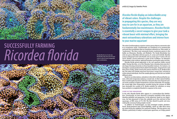 CORAL March/April 2025: MAKE ROOM FOR 'SHROOMS - Image 5