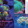 CORAL March/April 2025: MAKE ROOM FOR 'SHROOMS - Image 6