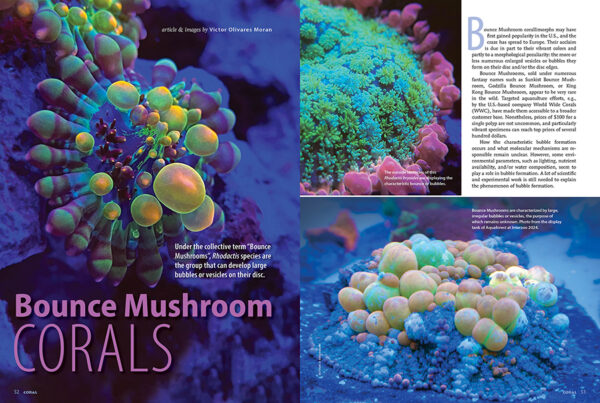 CORAL March/April 2025: MAKE ROOM FOR 'SHROOMS - Image 6