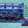CORAL March/April 2025: MAKE ROOM FOR 'SHROOMS - Image 9