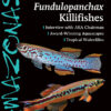 AMAZONAS May/Jun 2025: FUNDULOPANCHAX KILLIFISHES