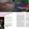 AMAZONAS May/Jun 2025: FUNDULOPANCHAX KILLIFISHES - Image 3