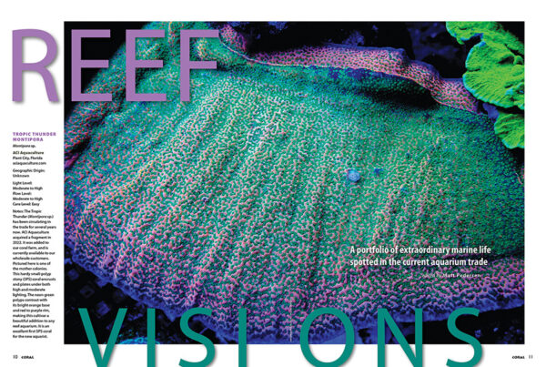 CORAL May/June 2025: JAW-DROPPING JAWFISHES - Image 2