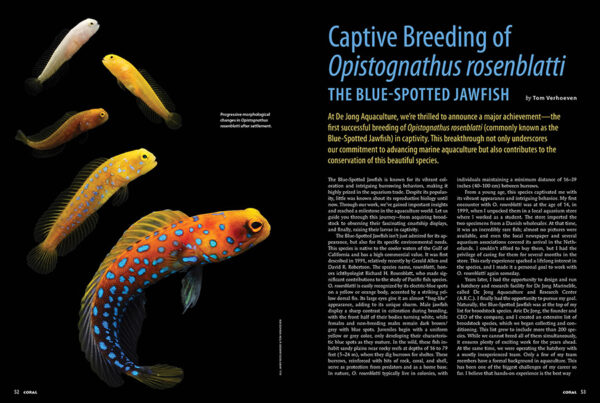 CORAL May/June 2025: JAW-DROPPING JAWFISHES - Image 5